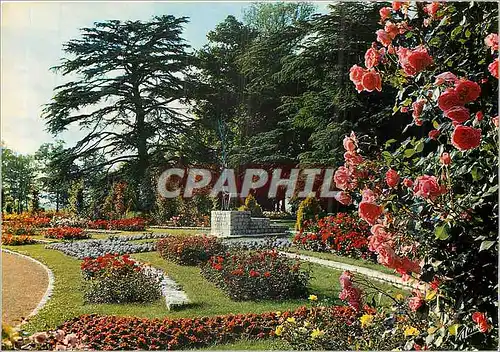 Cartes postales moderne Les Merveilles du Val de Loire Olivet (Loiret) Le Parc floral de la Source
