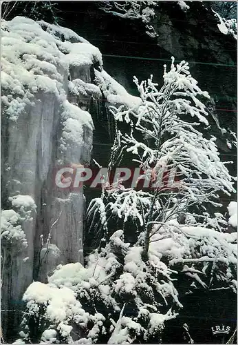 Cartes postales moderne Paris Les Vosges sous la neige Parure hivernale