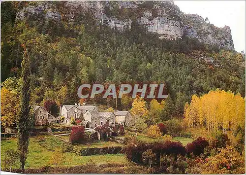 Cartes postales moderne Gorges du Tarn(Lozere) Domaine de la Croze