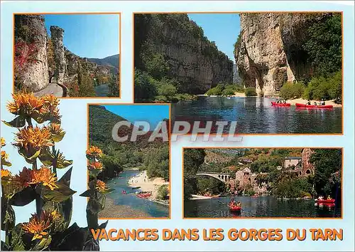 Cartes postales moderne Gorges du Tarn (Lozere) Pougnadoires Les Detrois