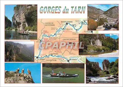 Cartes postales moderne Gorges du Tarn (Lozere)
