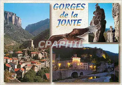 Cartes postales moderne Gorges de la Jonte (Lozere) Peyreleau