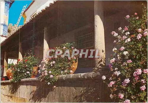 Cartes postales moderne Obidos Portugal Balcons Fleuris