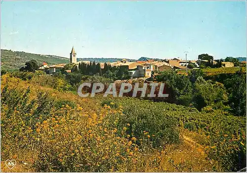 Cartes postales moderne St Laurent de la Cabrerisse (Aude) Vue generale