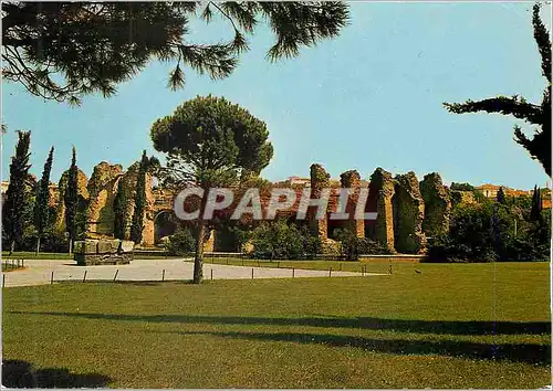 Cartes postales moderne Frejus Les Arenes