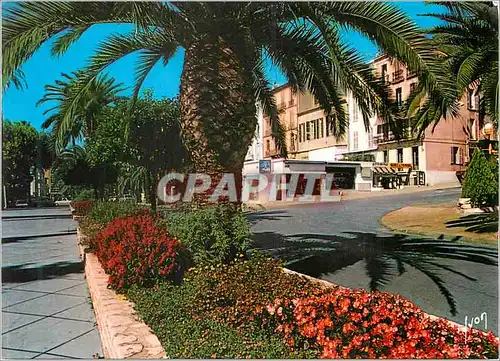 Cartes postales moderne Hyeres (Var) La Cote d'Azur Avenue Clotis
