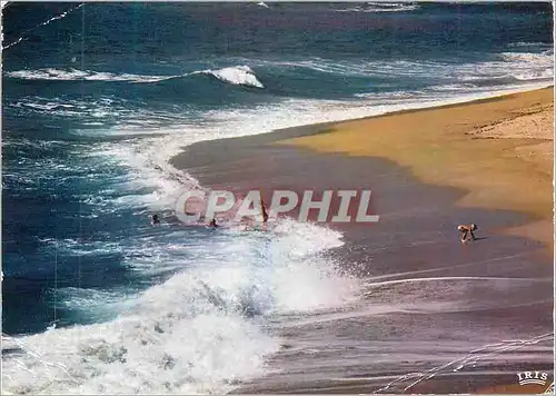 Cartes postales moderne La mer cote sableuse