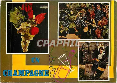 Cartes postales moderne Souvenir de Champagne