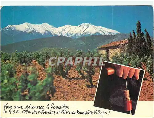 Moderne Karte Le Mont Canigou (alt 2785 m) Roussillon France