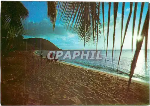 Cartes postales moderne Deshaies (La Plage)