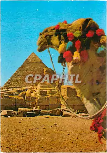 Cartes postales moderne Gaza the great sphinx and khelreh pyramid
