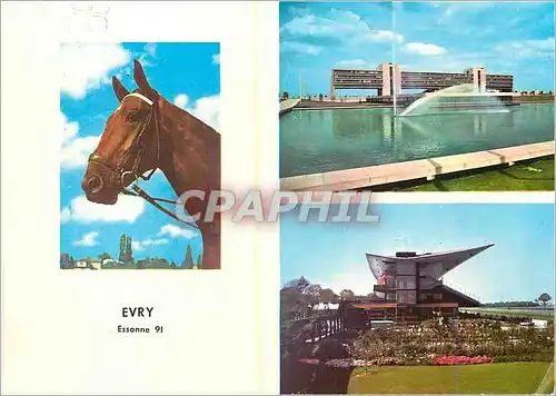 Cartes postales moderne Evry essonne images de france la prefecture le champ de courses Cheval
