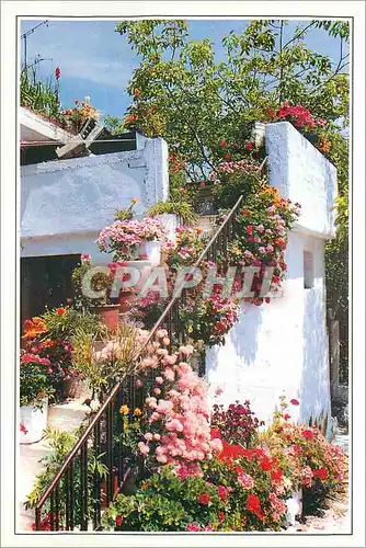 Cartes postales moderne Greece hellas