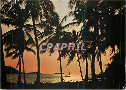 Cartes postales moderne Contre jour romantique Guadeloupe