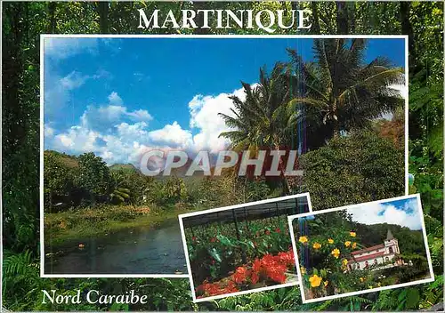 Moderne Karte Martinique nord caraibe