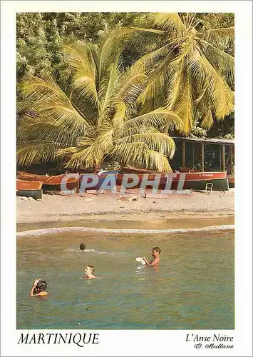 Cartes postales moderne Martinique l'Anse Noire