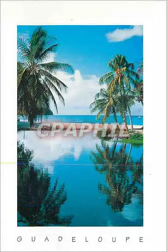 Moderne Karte Guadeloupe reflet