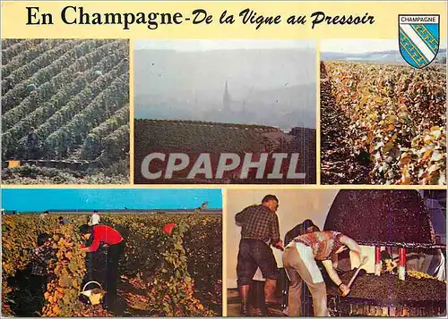 Moderne Karte En champagne de la vigne au pressoir