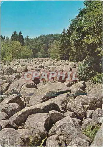 Cartes postales moderne Nos belles vosges le champ de roches
