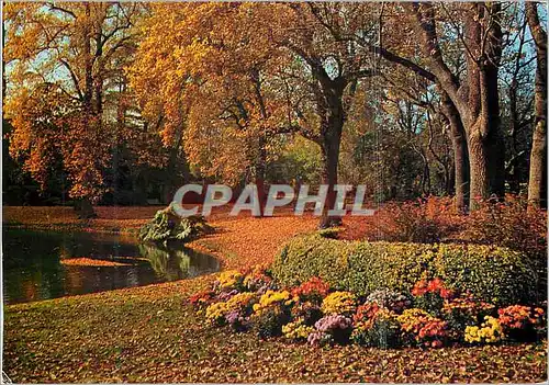 Cartes postales moderne Nantes (Loire Atlatique) le jaridin des plantes
