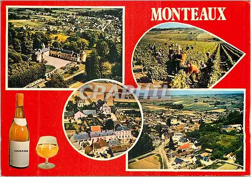 Cartes postales moderne Monteaux (L et Ch)