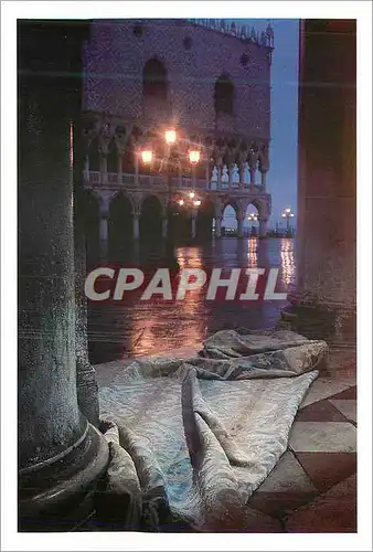Cartes postales moderne Rose Noire rend hommage a Venise