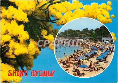 Cartes postales moderne Saint aygulf