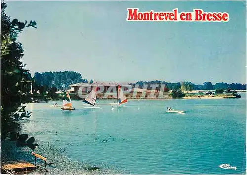 Cartes postales moderne Montrevel (Ain) Base nautique Planche a voile