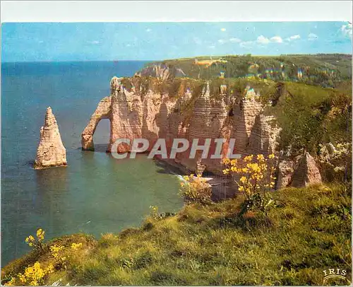 Cartes postales moderne Etretat l'aiguille et la falaise