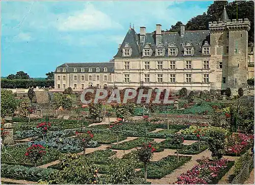 Cartes postales moderne Villandry (Val de Loire) le chateau de villandry