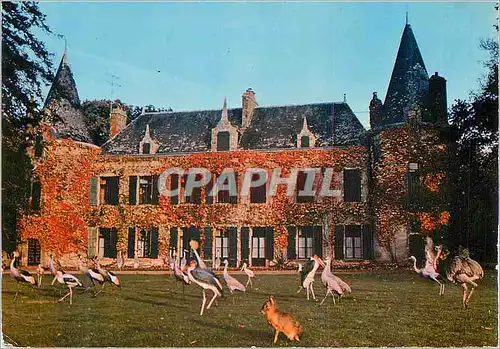 Cartes postales moderne Parc zoologique de branfere la guerno par Muzillac (Morbihan) le chateau