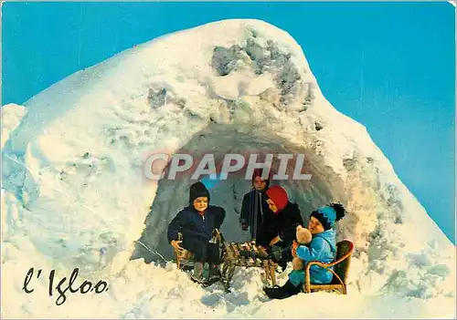 Cartes postales moderne L'igloo