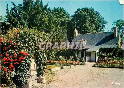 Cartes postales moderne Beaulieu-sur-Layon (M et L) Le Caveau