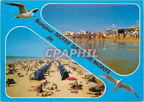 Cartes postales moderne La Vendee Touristique Notre-Dame-De-Monts La Plage