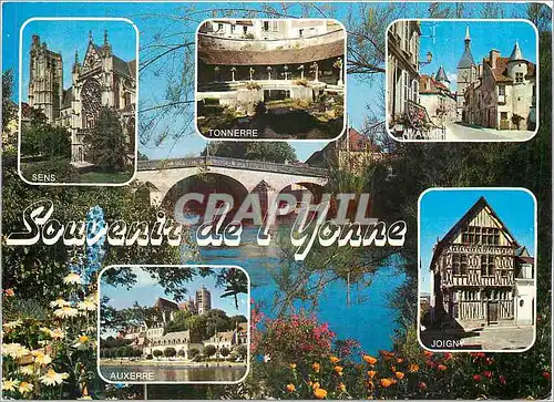 Cartes postales moderne Souvenir de L'Yonne Sens Tonnerre Avallon Joigny Auxerre