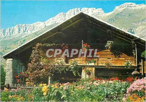 Cartes postales moderne Vieux chalet savoyard