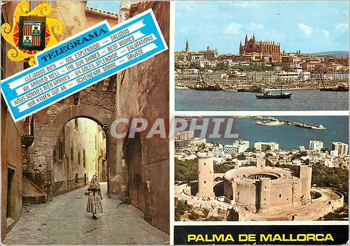 Cartes postales moderne Mallorca Falma