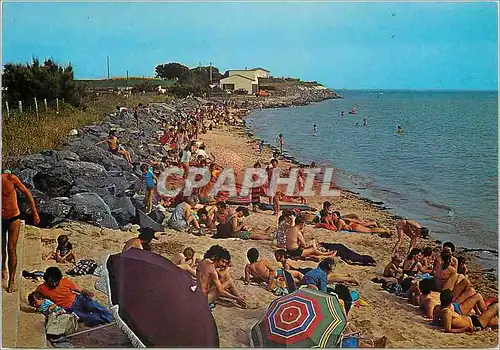 Cartes postales moderne Angoulins-Sur-Mer (Ch Mme) La Plage