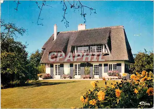 Cartes postales moderne Ma Normandie Une Belle chaumiere