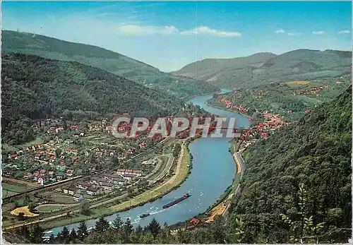 Cartes postales moderne Das Neckartai bei Heildelberg