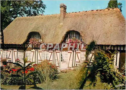 Cartes postales moderne Chaumiere Normande