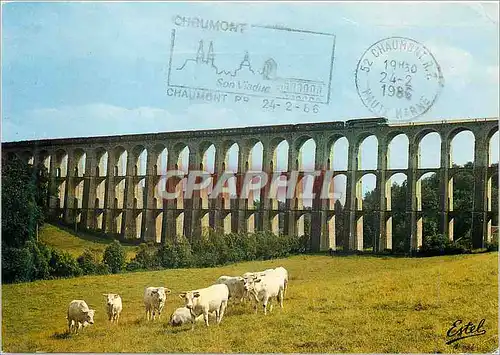 Cartes postales moderne Le Bassigny Chaumont (Haute-Marne) Le viaduc de Chaumont Vache