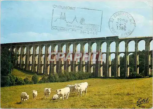 Moderne Karte Le Bassigny Chaumont (Haute-Marne) Le viaduc de Chaumont Vache