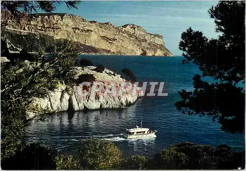 Cartes postales moderne Cassis-Sur-Mer Les Calanques Dans le fond le Cap Canaille