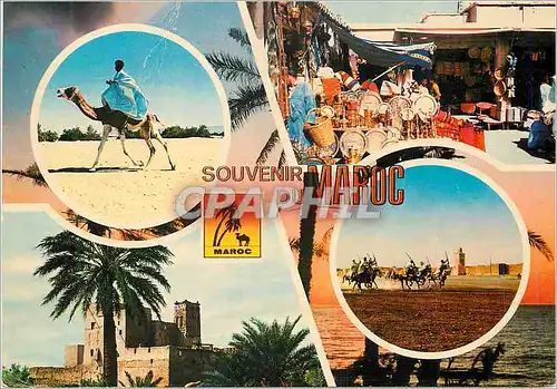 Moderne Karte Souvenir du Maroc Chamelier