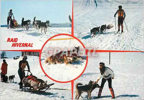 Cartes postales moderne Chaux-Neuve (Jura) Raid Hivernal Chien Traineau