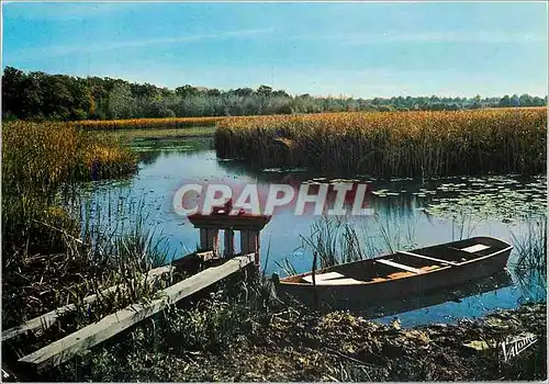 Cartes postales moderne L'etang