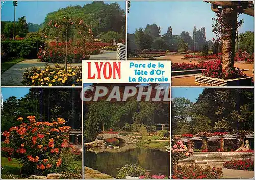 Cartes postales moderne Lyon Parc de la Tete d'Or La Roseraie