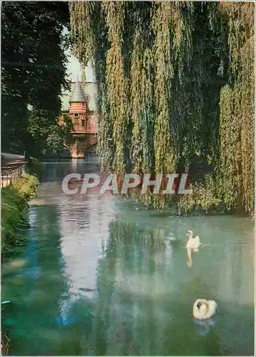 Cartes postales moderne Chalons-sur-Marne (Marne) Le Caisse d'Epargne vue du petit Jard