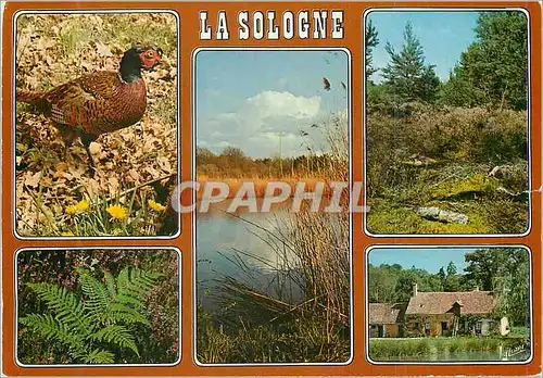 Moderne Karte La Sologne